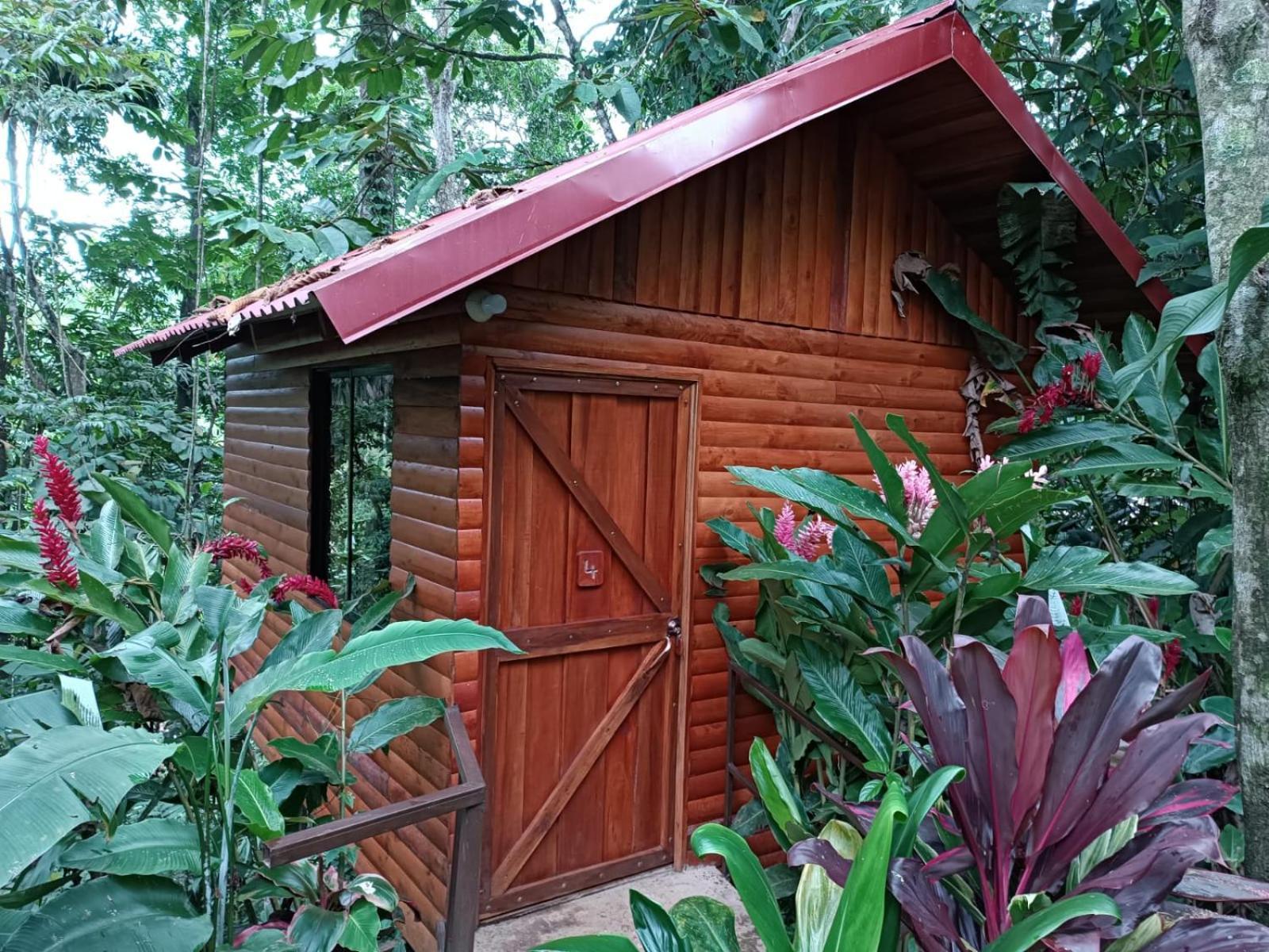 Arenal Rustic Lodge Ла Фортуна Экстерьер фото