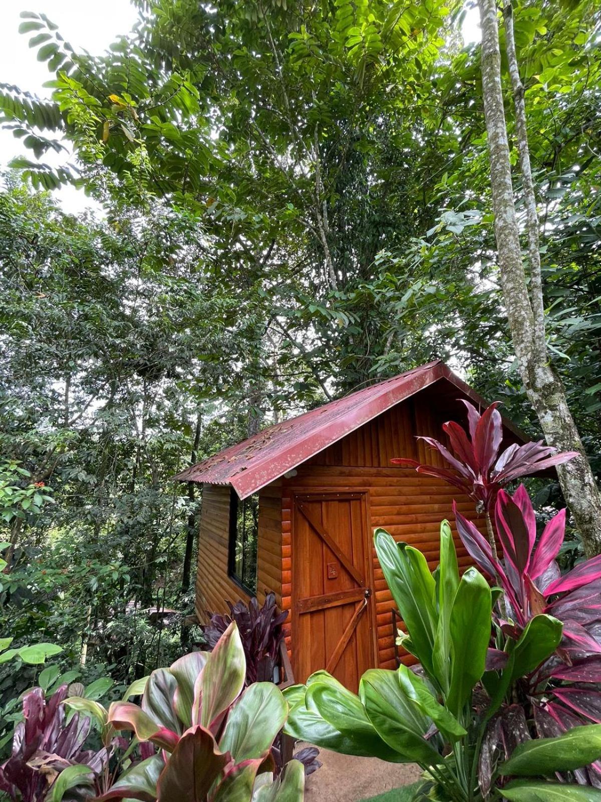 Arenal Rustic Lodge Ла Фортуна Экстерьер фото