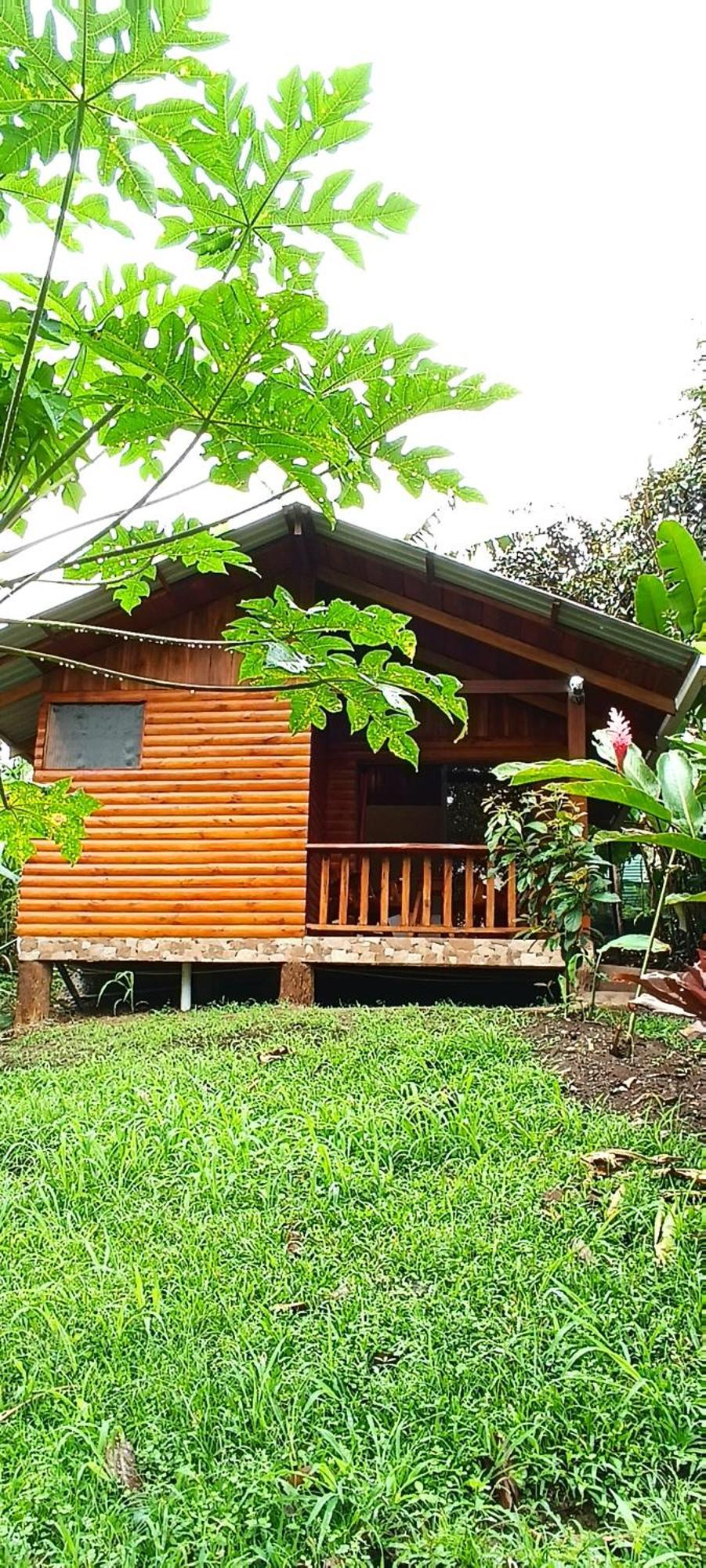 Arenal Rustic Lodge Ла Фортуна Экстерьер фото
