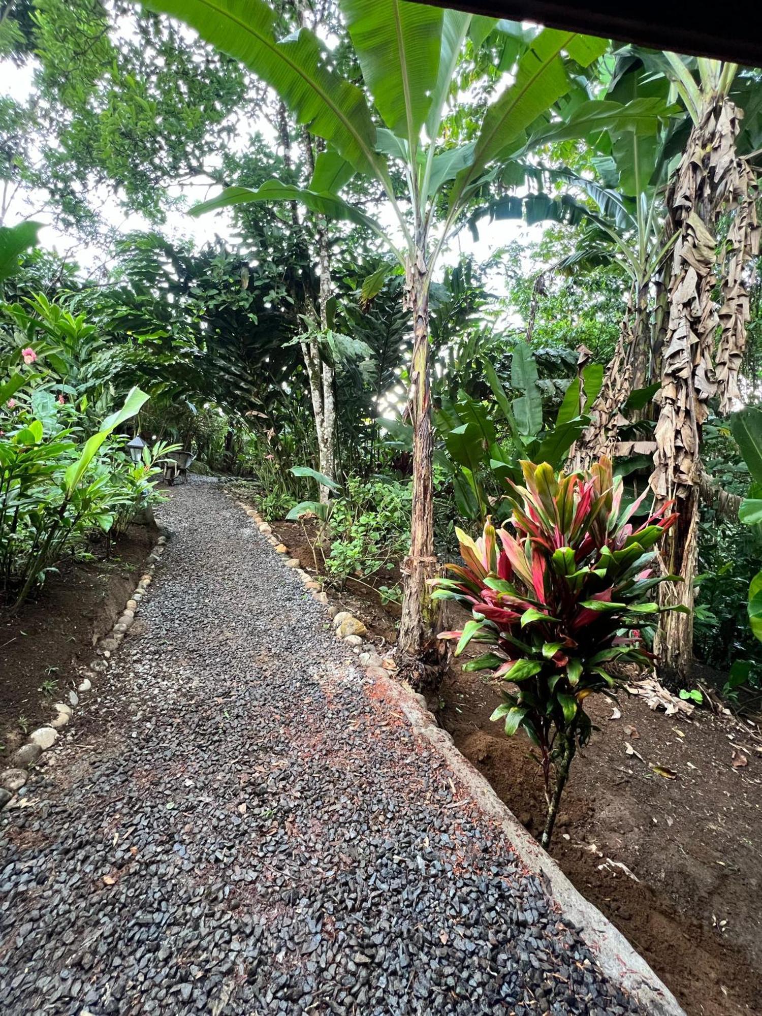 Arenal Rustic Lodge Ла Фортуна Экстерьер фото