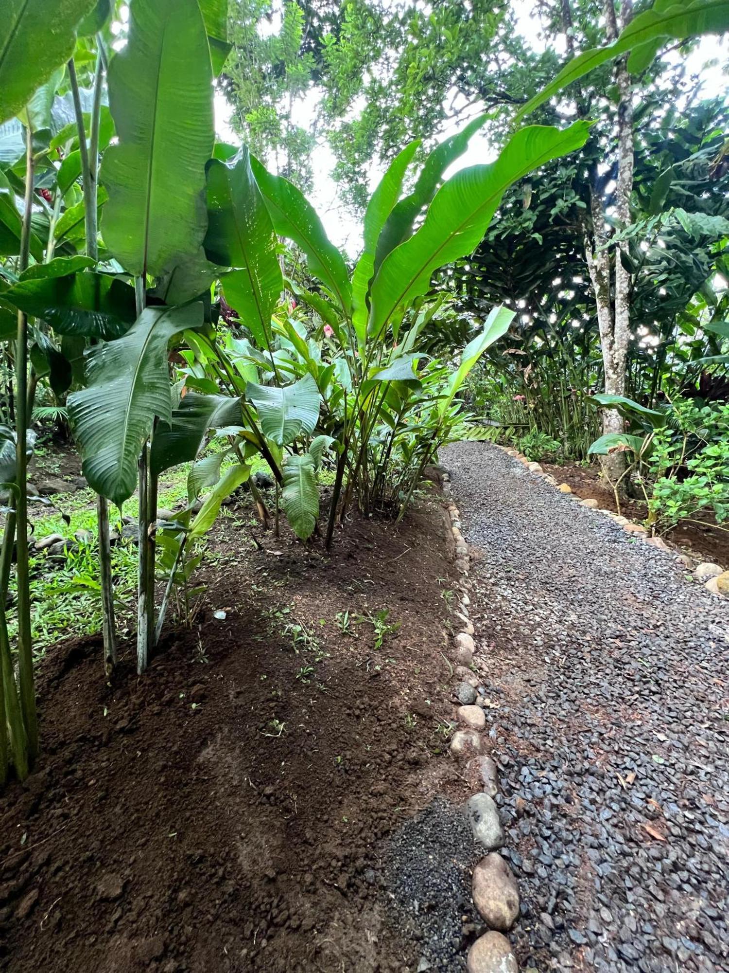 Arenal Rustic Lodge Ла Фортуна Экстерьер фото